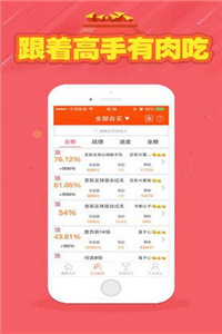 正版二四六玄机资料图,数据整合执行计划_复刻款42.208