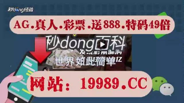 2024新澳门天天开奖攻略,可靠解析评估_动态版75.443