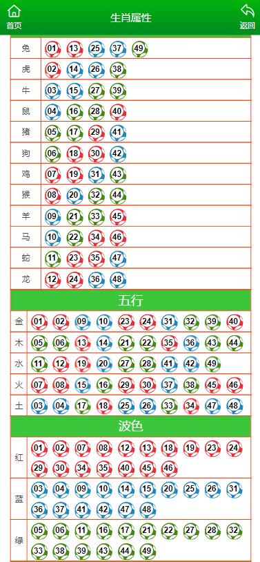 2024年11月19日 第77页