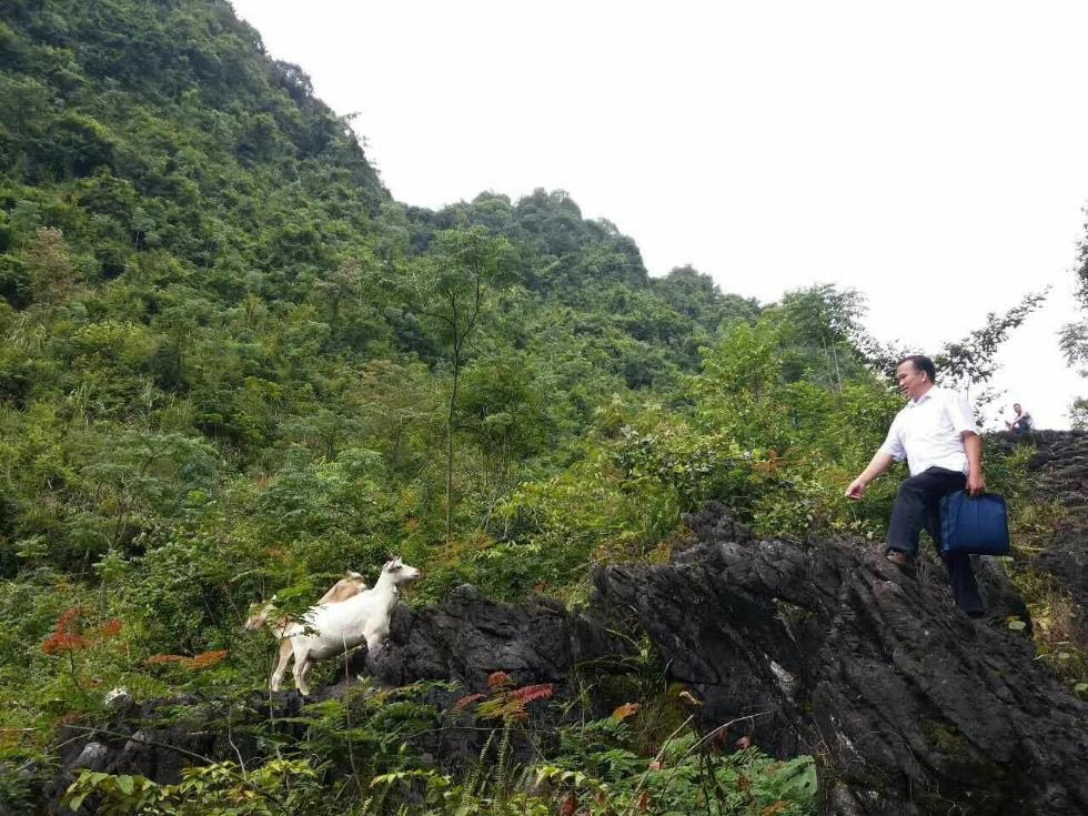 地平村新领导引领乡村繁荣新篇章